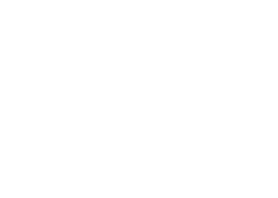 Verdi Risk Partners monogram